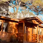 Chalet Bois Jacuzzi